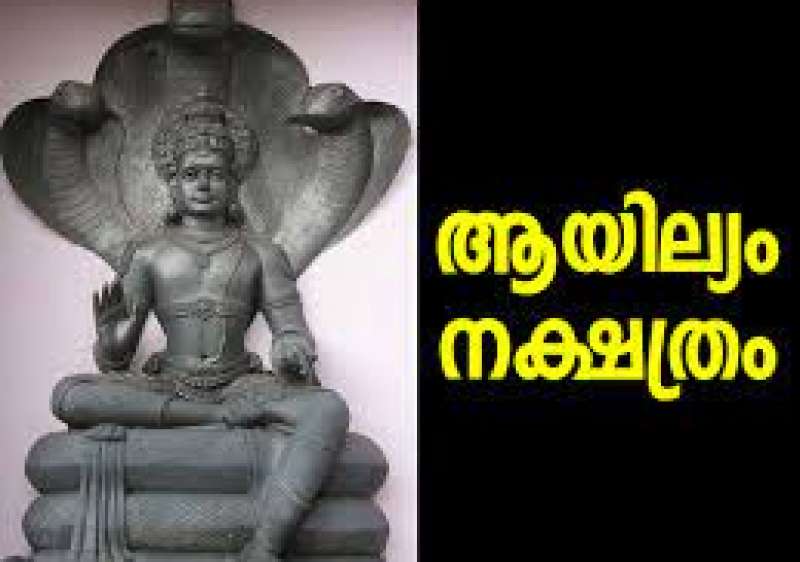 Sree Durga Jyothishalayam 1198 ചിങ്ങം 10-blog